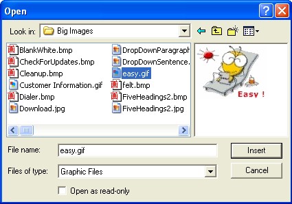 Insert an image